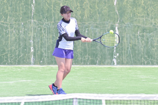 テニス班の活動写真