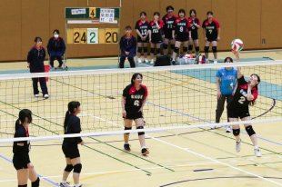 バレーボール班の活動写真